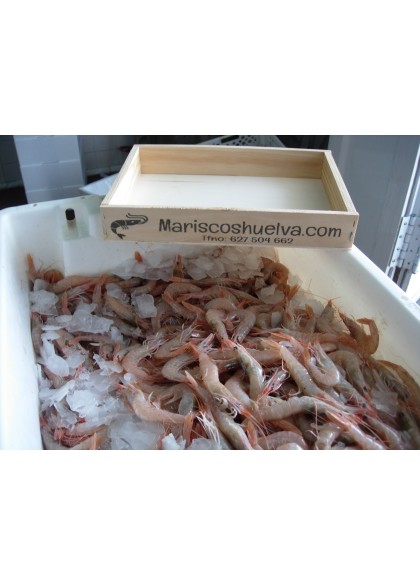 Gamba Blanca Gorda 80/90 Piezas/Kg.