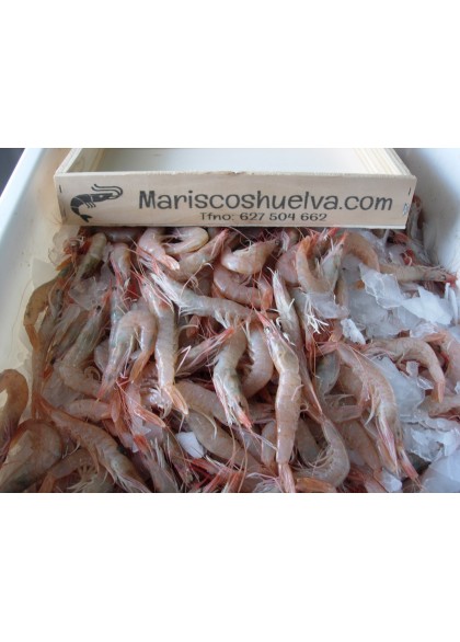 Gamba Blanca Mediana 90/100 Piezas/Kg.