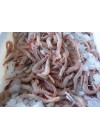 Gamba Blanca Terciada 100/120 Piezas/Kg.