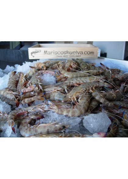 Langostino Tigre-1 15/20 Piezas/Kg