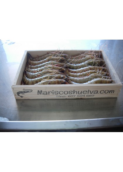 Langostino Tigre-1 15/20 Piezas/Kg