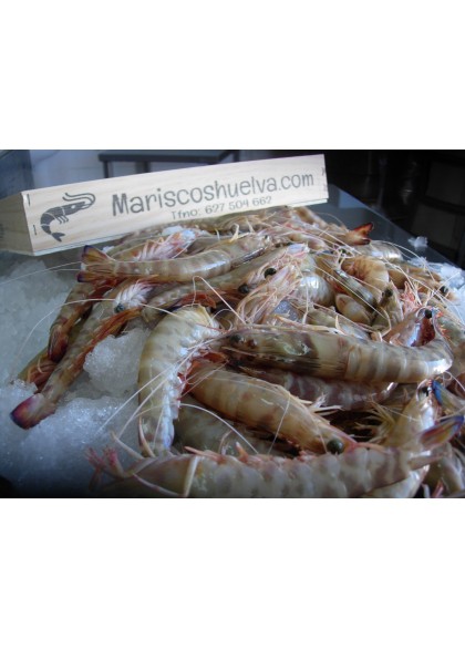 Langostino Tigre-1 15/20 Piezas/Kg