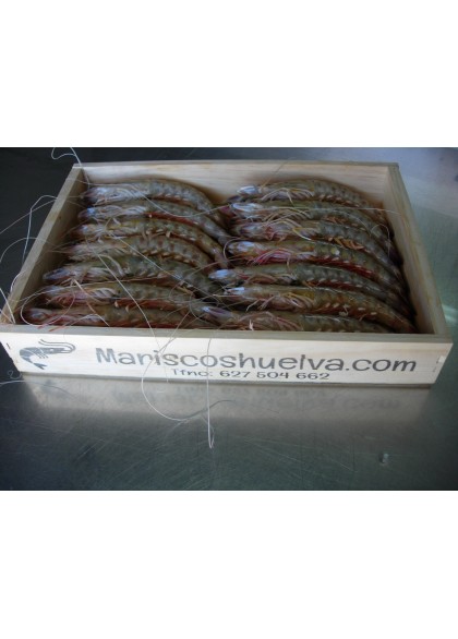 Langostino Tigre-1  20/30 Piezas/Kg