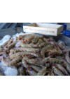 Langostino Tigre-3  40-60  Piezas/Kg