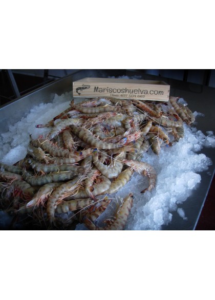 Langostino Tigre-3  40-60  Piezas/Kg