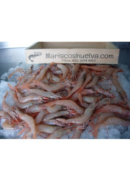 Gamba Blanca 60/70 Piezas/Kg.