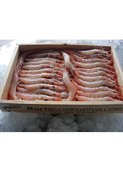 Gamba Blanca 60/70 Piezas/Kg.