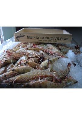 Langostino Tigre-2  20/30 Piezas/Kg