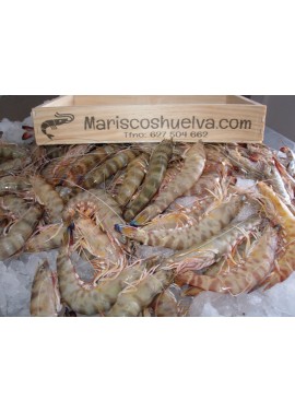 Langostino Tigre-3  30/40 Piezas/Kg