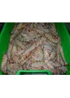 Langostino Tigre-3  40-60  Piezas/Kg